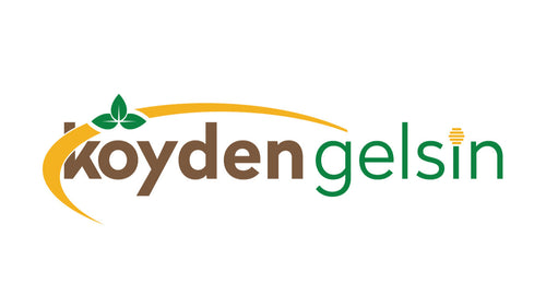 Köyden Gelsin